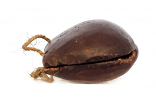 3765
